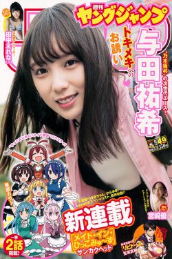 电视剧虾球传